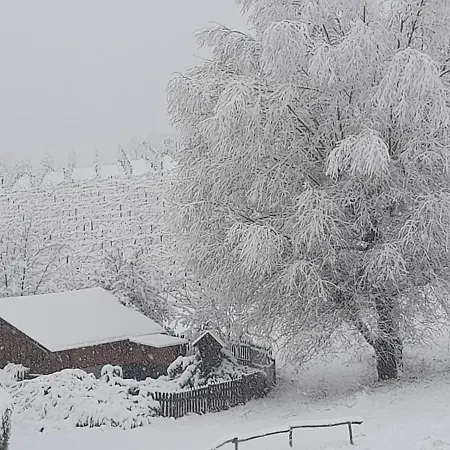 Valditerra Vini - La Rombetta Tassarolo