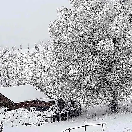Bed and Breakfast Valditerra Vini - La Rombetta Tassarolo