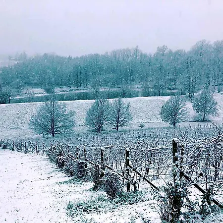 Valditerra Vini - La Rombetta Bed and Breakfast *