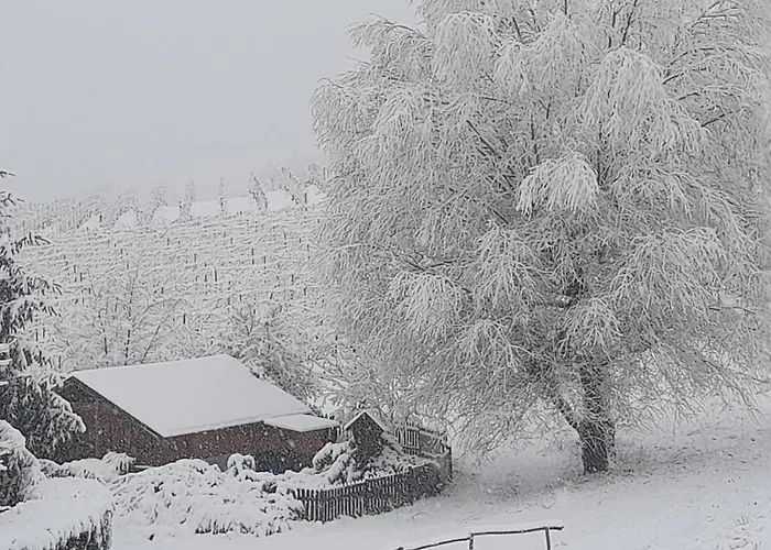 Valditerra Vini - La Rombetta Tassarolo