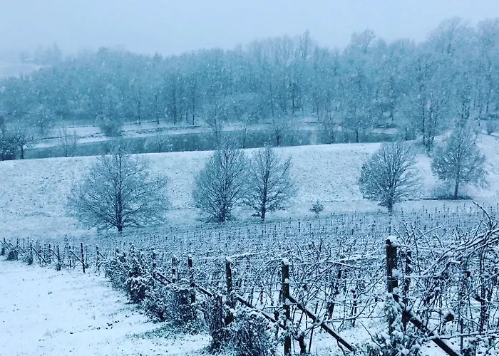 Valditerra Vini - La Rombetta